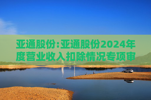 亚通股份:亚通股份2024年度营业收入扣除情况专项审核意见