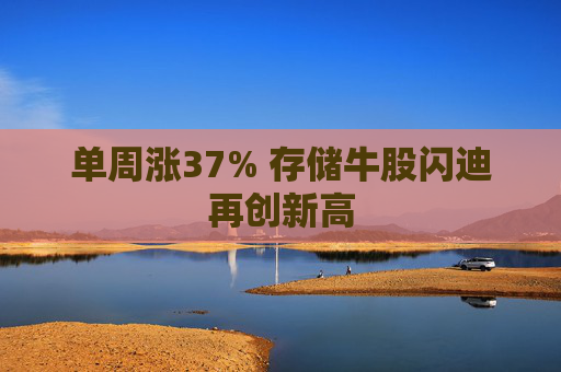 单周涨37% 存储牛股闪迪再创新高