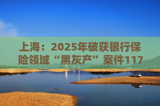 上海：2025年破获银行保险领域“黑灰产”案件117起 持续净化金融生态