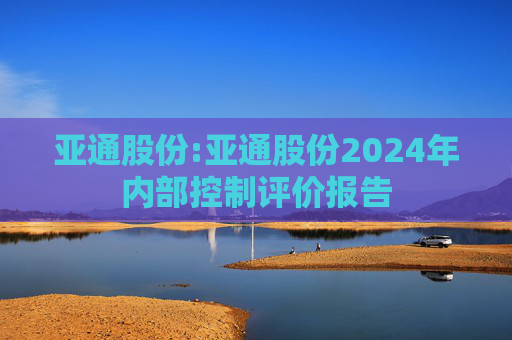 亚通股份:亚通股份2024年内部控制评价报告  第1张