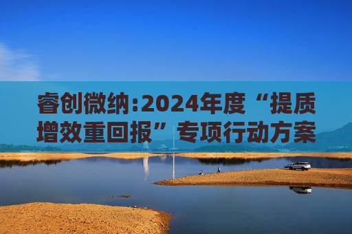 睿创微纳:2024年度“提质增效重回报”专项行动方案的评估报告暨2025年度“提质增效重回报”专项行动方案