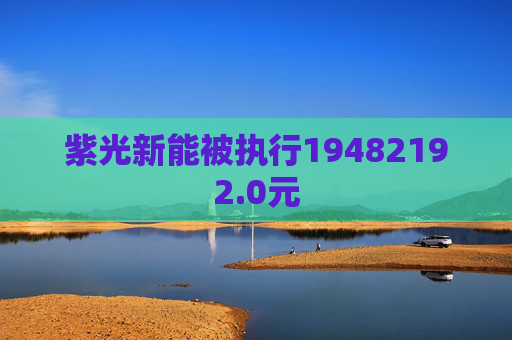 紫光新能被执行19482192.0元
