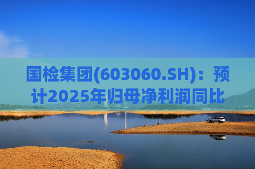 国检集团(603060.SH)：预计2025年归母净利润同比减少42.62%