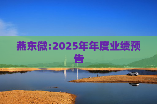 燕东微:2025年年度业绩预告
