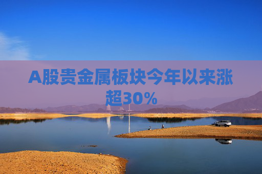 A股贵金属板块今年以来涨超30%