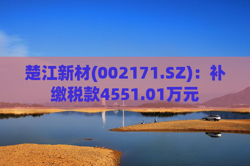 楚江新材(002171.SZ)：补缴税款4551.01万元  第1张