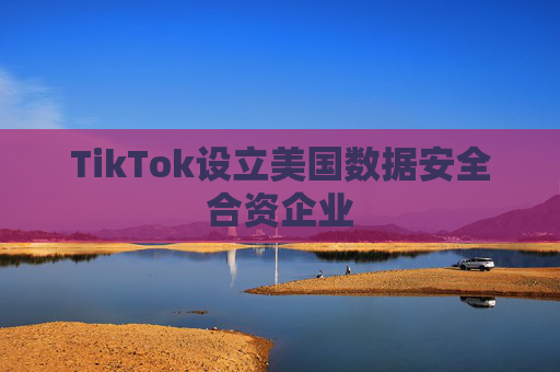 TikTok设立美国数据安全合资企业