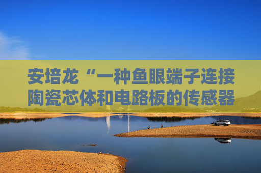 安培龙“一种鱼眼端子连接陶瓷芯体和电路板的传感器及组装方法”专利获授权