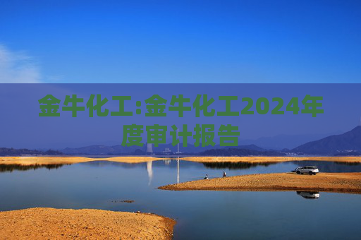 金牛化工:金牛化工2024年度审计报告
