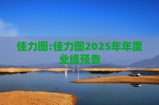 佳力图:佳力图2025年年度业绩预告