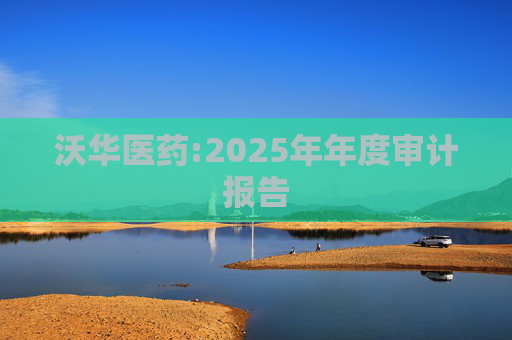 沃华医药:2025年年度审计报告