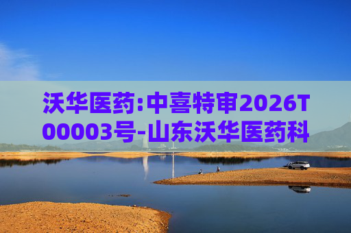 沃华医药:中喜特审2026T00003号-山东沃华医药科技股份有限公司-关联资金占用报告