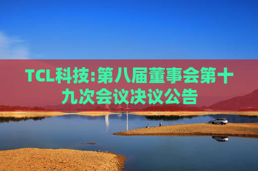 TCL科技:第八届董事会第十九次会议决议公告  第1张