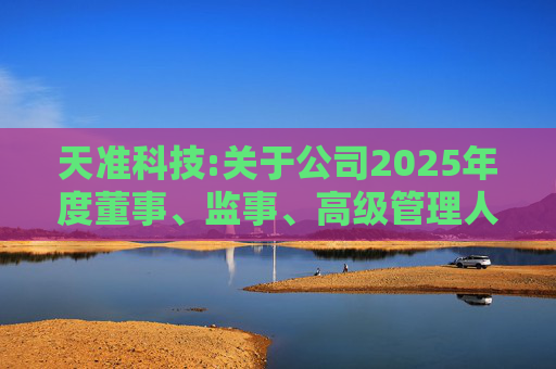 天准科技:关于公司2025年度董事、监事、高级管理人员薪酬方案的公告