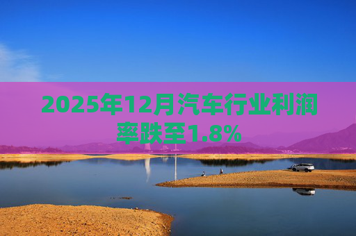 2025年12月汽车行业利润率跌至1.8%