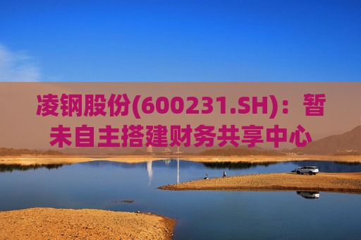 凌钢股份(600231.SH)：暂未自主搭建财务共享中心
