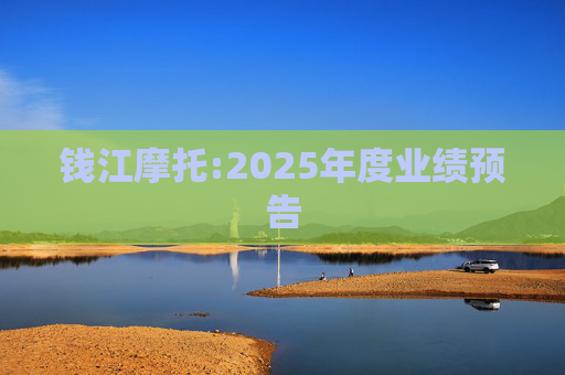 钱江摩托:2025年度业绩预告