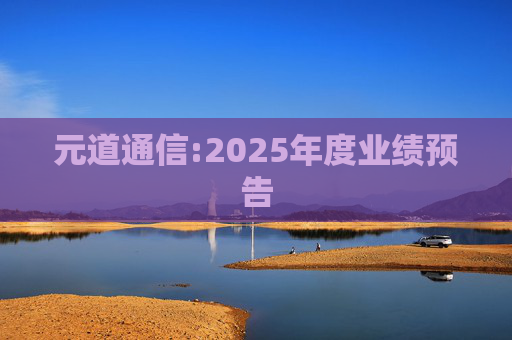 元道通信:2025年度业绩预告