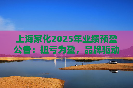 上海家化2025年业绩预盈公告：扭亏为盈，品牌驱动重回增长轨道