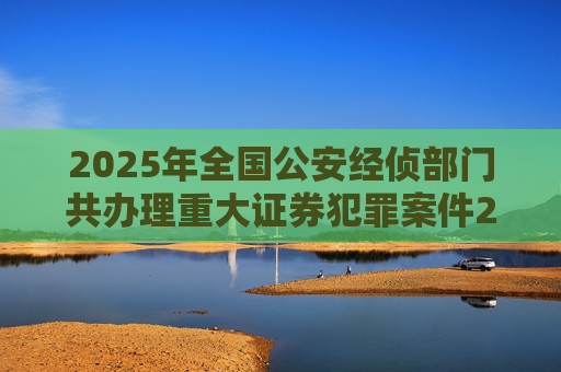 2025年全国公安经侦部门共办理重大证券犯罪案件200余起