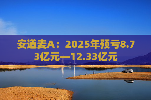 安道麦A:2025年预亏8.73亿元—12.33亿元