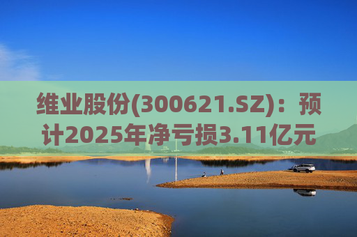 维业股份(300621.SZ)：预计2025年净亏损3.11亿元―4.04亿元