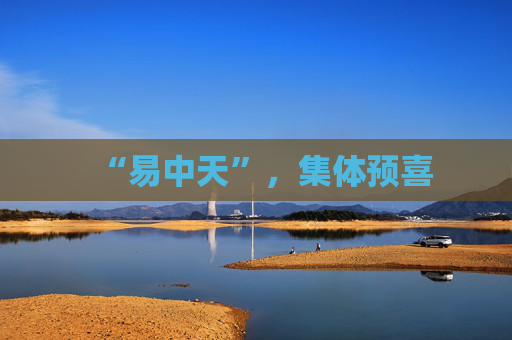 “易中天”，集体预喜