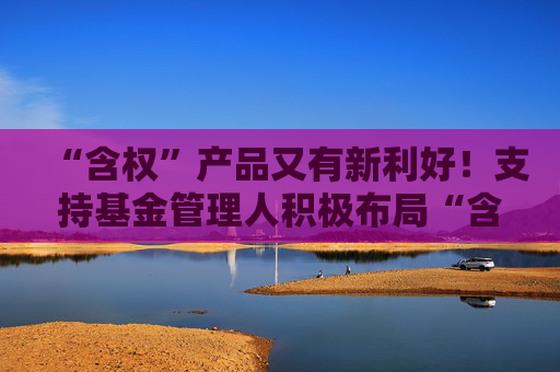 “含权”产品又有新利好！支持基金管理人积极布局“含权”产品，“含权”二级债基快速审批通道正式启动