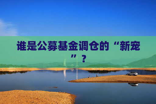 谁是公募基金调仓的“新宠”？  第1张