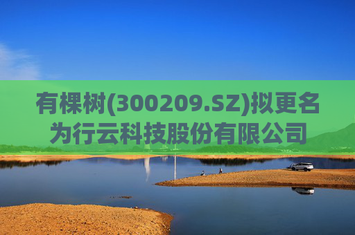 有棵树(300209.SZ)拟更名为行云科技股份有限公司  第1张