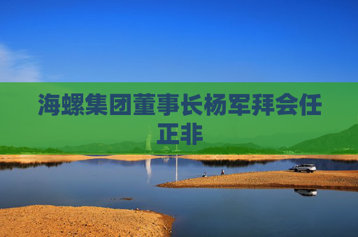 海螺集团董事长杨军拜会任正非