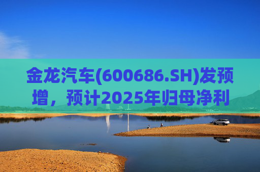 金龙汽车(600686.SH)发预增，预计2025年归母净利润约4.63亿元，同比增长193.68%  第1张