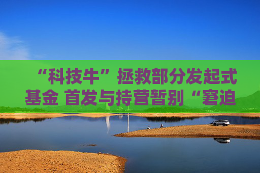 “科技牛”拯救部分发起式基金 首发与持营暂别“窘迫”