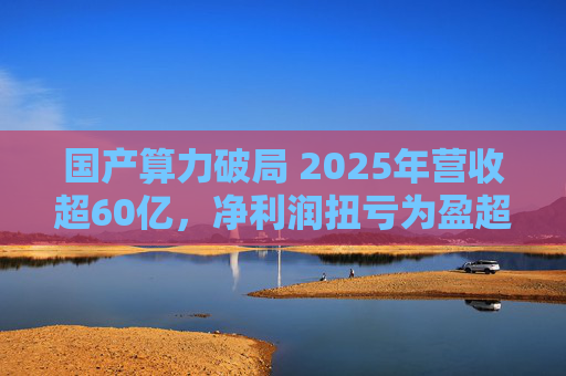 国产算力破局 2025年营收超60亿，净利润扭亏为盈超18亿