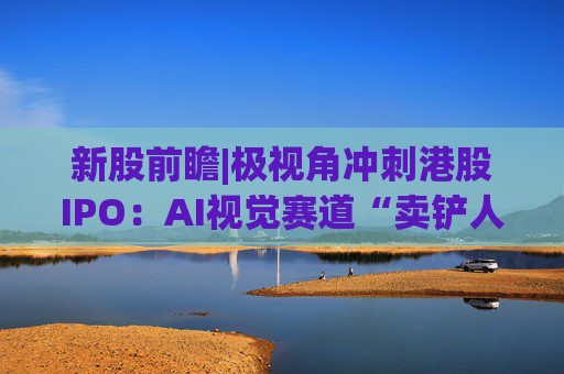 新股前瞻|极视角冲刺港股IPO:AI视觉赛道“卖铲人”潜力可期,盈利波动困境难解