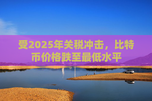 受2025年关税冲击，比特币价格跌至最低水平
