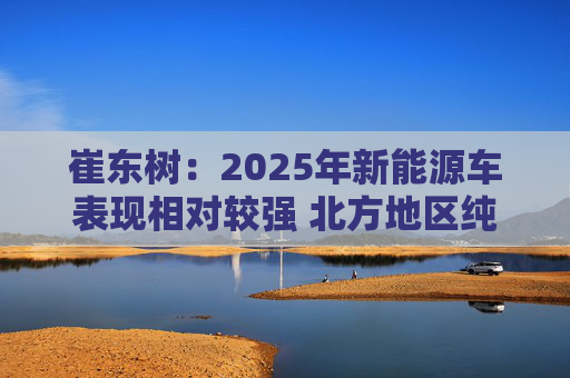 崔东树：2025年新能源车表现相对较强 北方地区纯电动占比提升明显