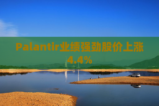 Palantir业绩强劲股价上涨4.4%