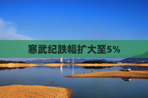 寒武纪跌幅扩大至5%