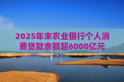 2025年末农业银行个人消费贷款余额超6000亿元