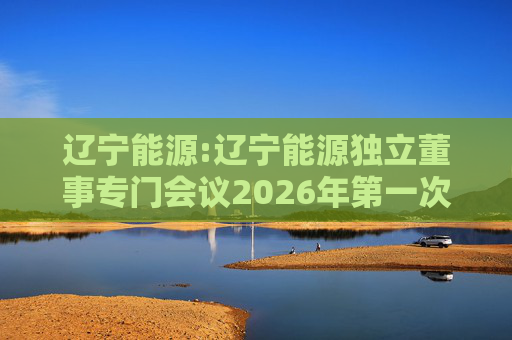辽宁能源:辽宁能源独立董事专门会议2026年第一次会议决议
