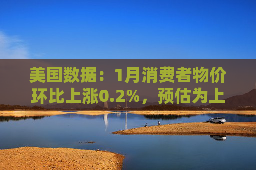 美国数据：1月消费者物价环比上涨0.2%，预估为上涨0.3%