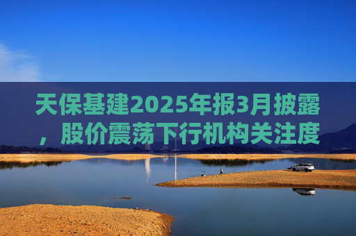 天保基建2025年报3月披露，股价震荡下行机构关注度低