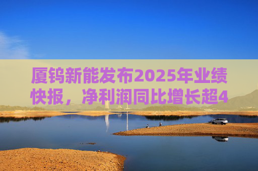 厦钨新能发布2025年业绩快报，净利润同比增长超40%