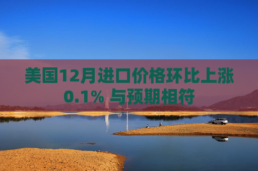 美国12月进口价格环比上涨0.1% 与预期相符