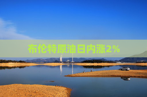 布伦特原油日内涨2%