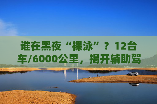 谁在黑夜“裸泳”？12台车/6000公里，揭开辅助驾驶的夜盲真相