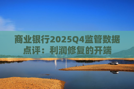 商业银行2025Q4监管数据点评：利润修复的开端