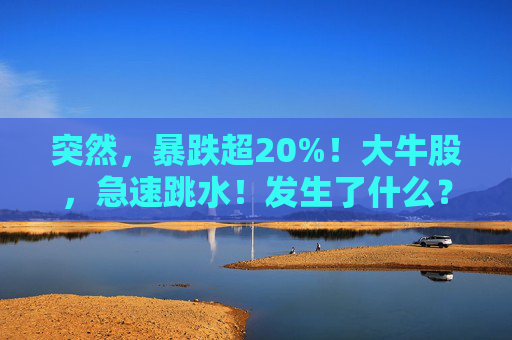 突然，暴跌超20%！大牛股，急速跳水！发生了什么？