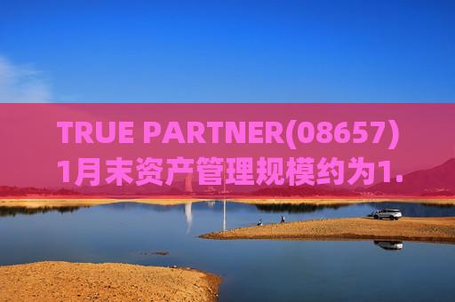 TRUE PARTNER(08657)1月末资产管理规模约为1.71亿美元  第1张